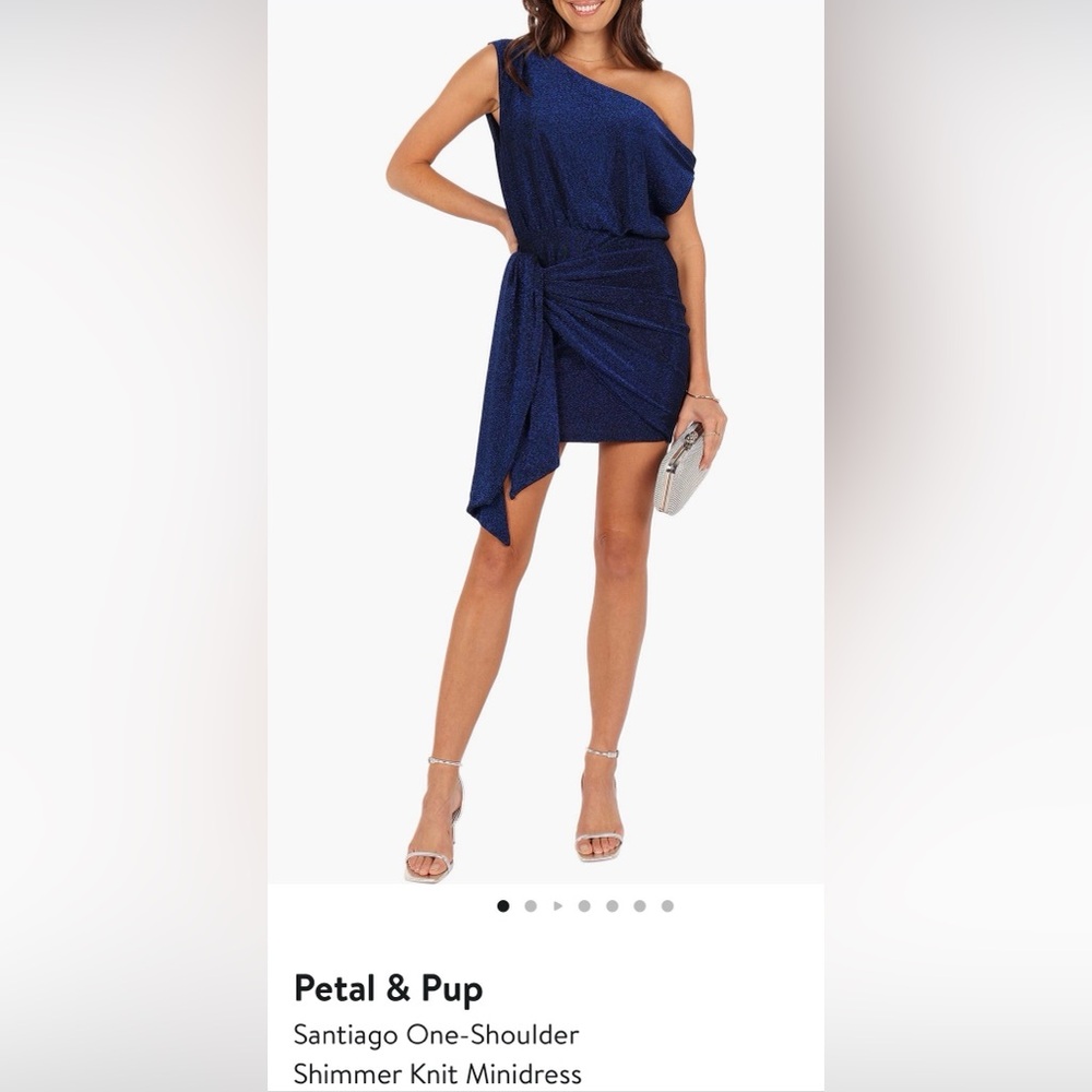 Petal & Pup Navy Blue One Shoulder Shimmer Dress